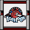 Rockford Icehogs.png