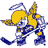 Minnesota Fighting Saints