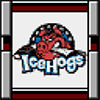 Rockford IceHogs.png