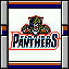 Florida Panthers.png