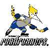 Phoenix Roadrunners